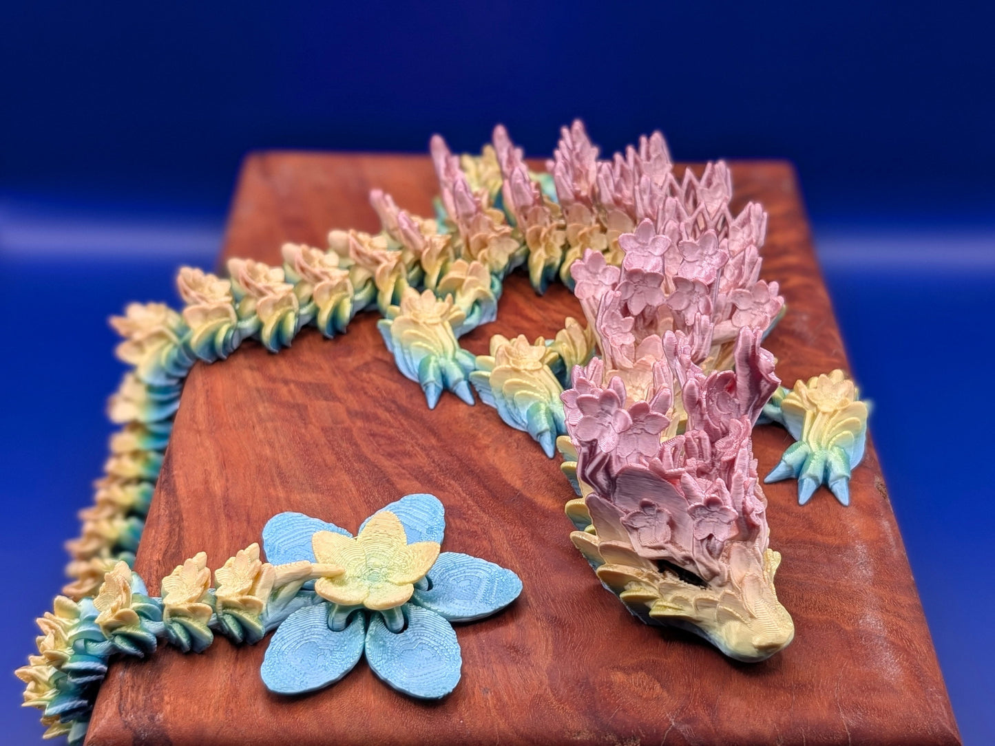 Cherry Blossom Dragon - Around Makes