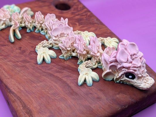 Baby Orchid Dragon - Around Makes