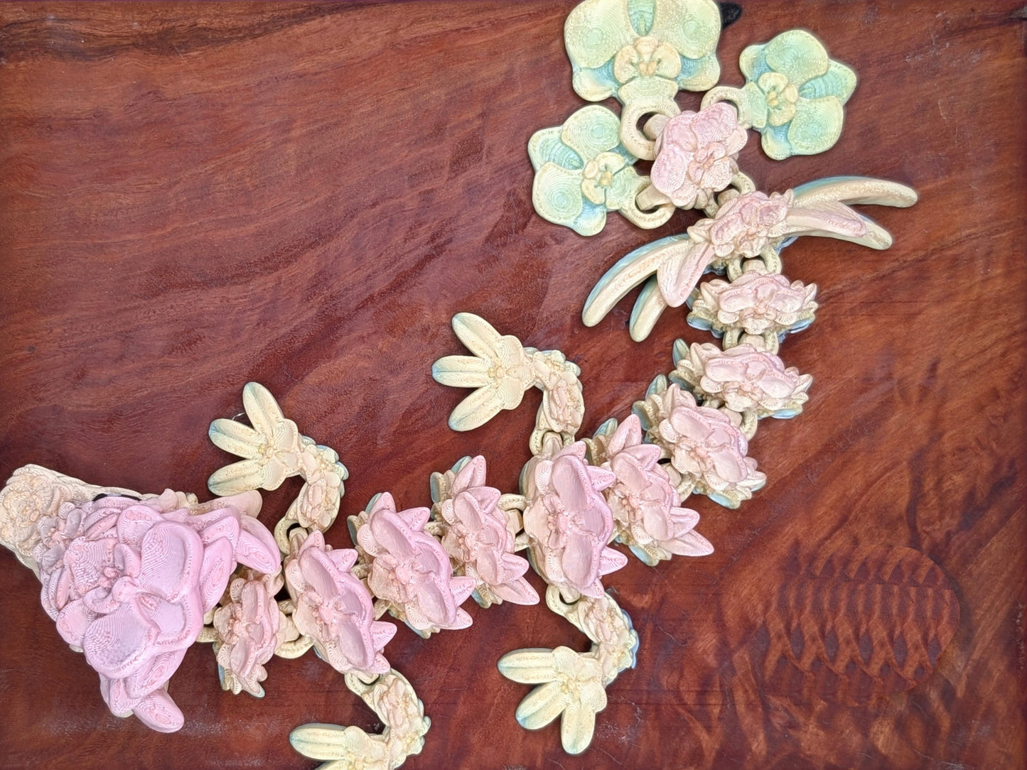 Baby Orchid Dragon - Around Makes