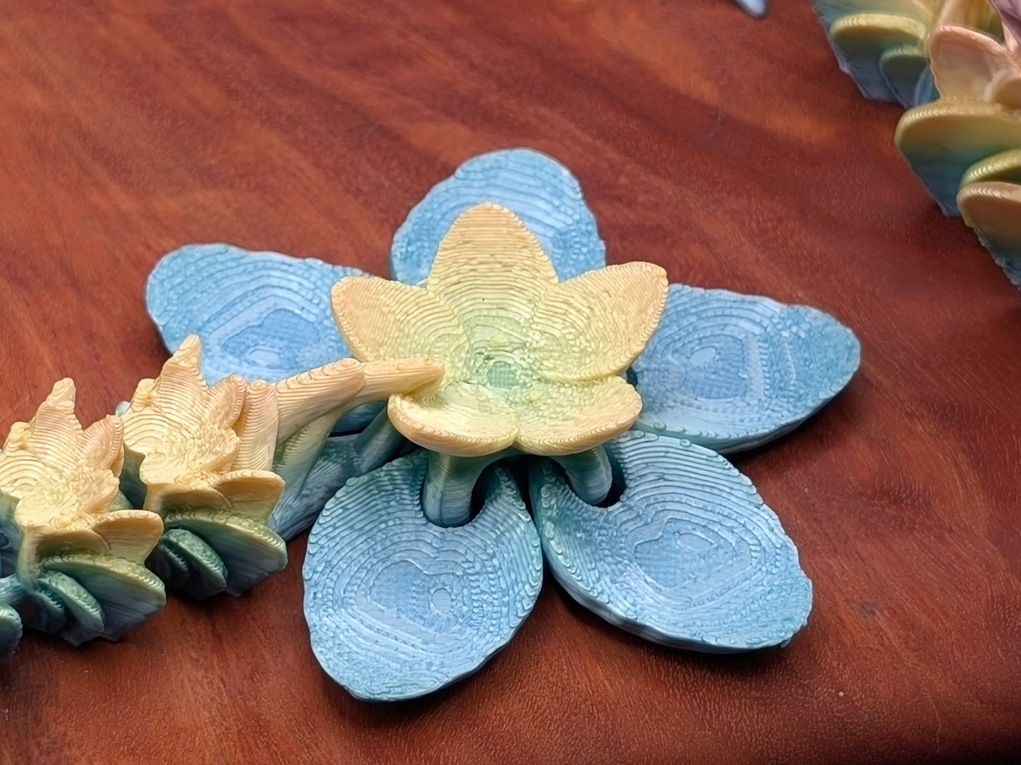Cherry Blossom Dragon - Around Makes