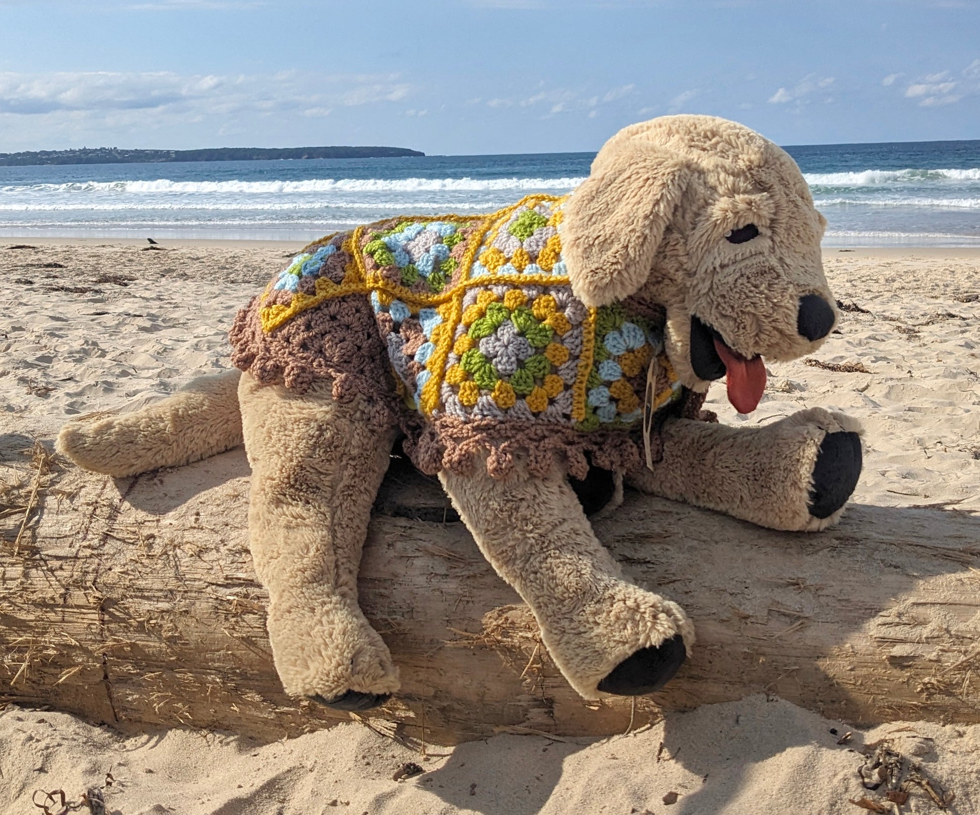 Hand Crocheted Dog Coats - Around Makes