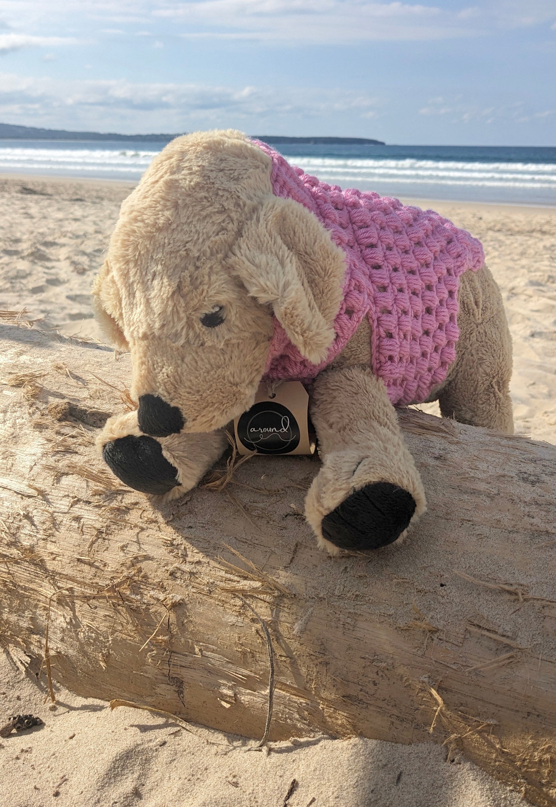 Hand Crocheted Dog Coats - Around Makes