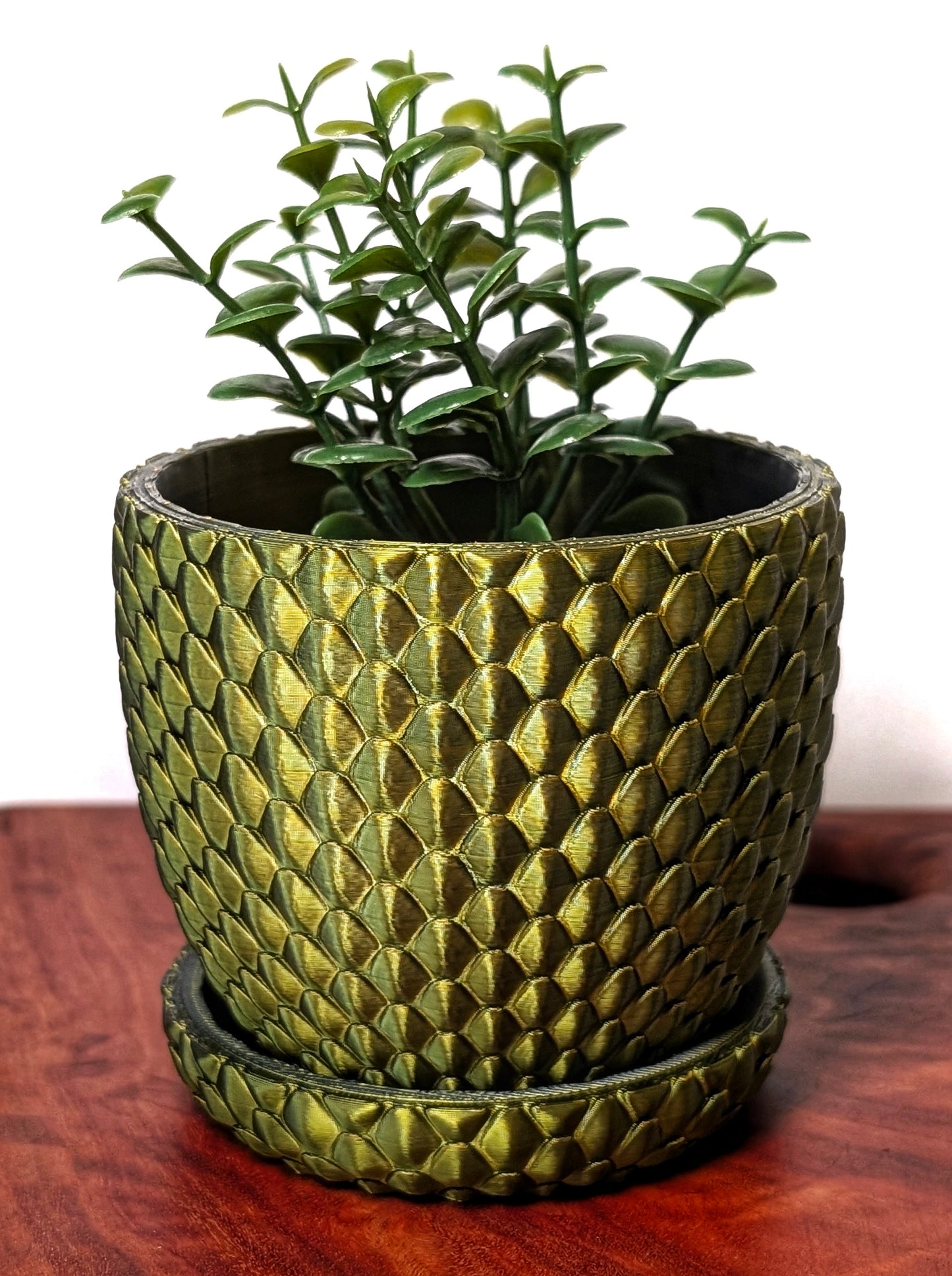 DragonScale Planters - Around Makes