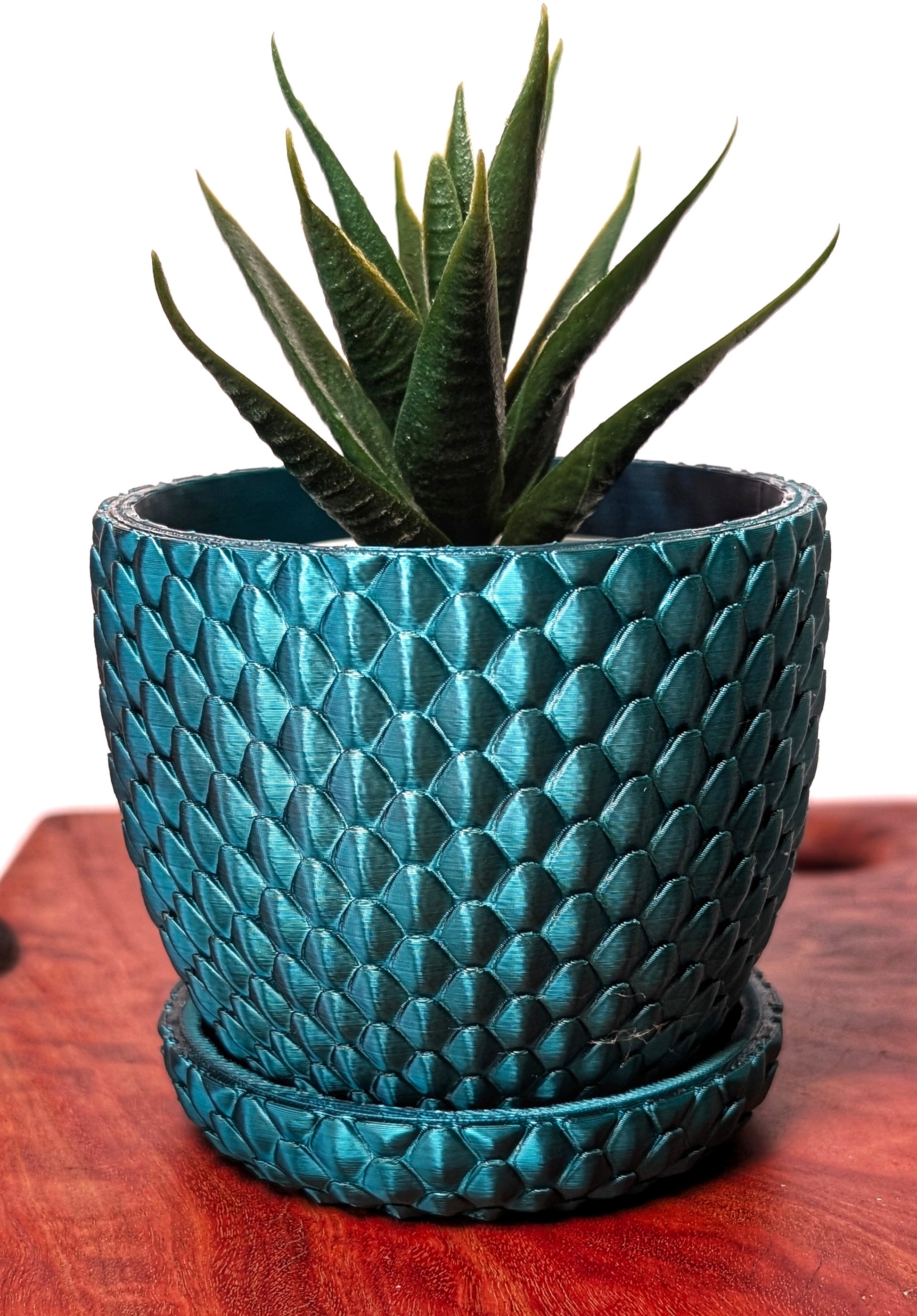 DragonScale Planters - Around Makes